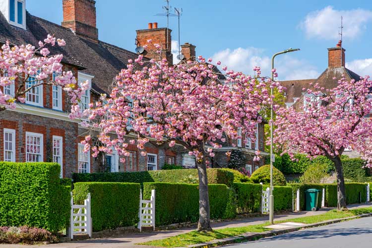 Recommended Estate Agents In Buckhurst Hill